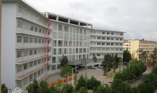 西南林业大学林学院