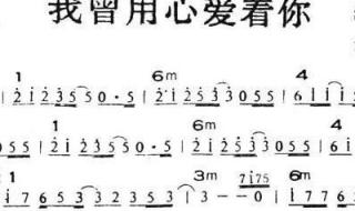 我会永远爱着你歌词