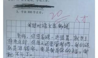 老师我想对你说300字